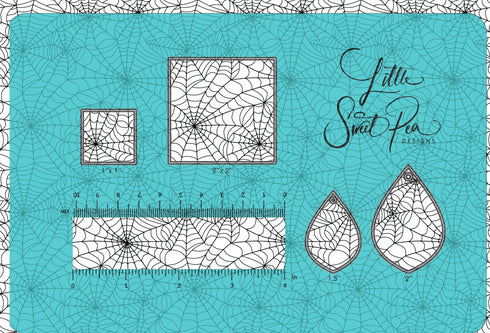 6047 - Spider Webs